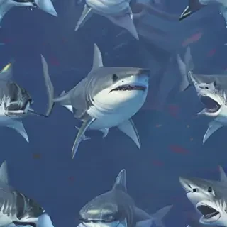 shark backgrounds