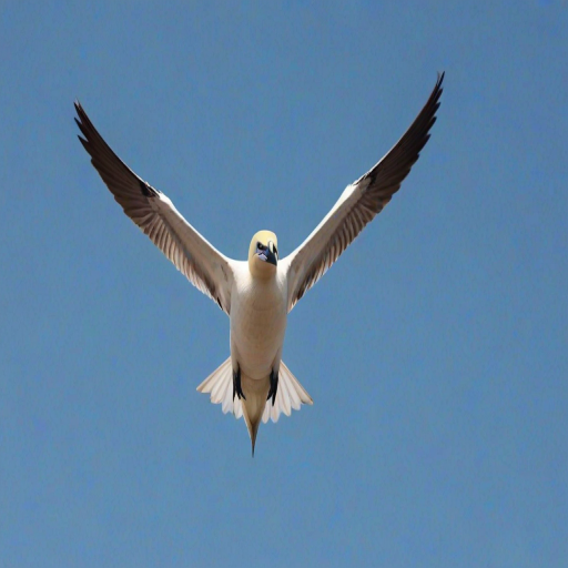 a gannet bird soaring through a clear blue sky with outstretched wings