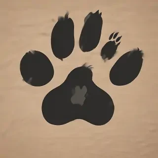 paw png