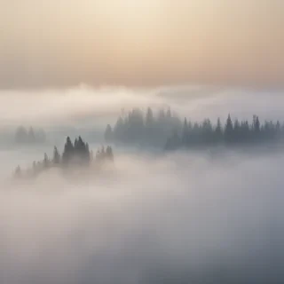 fog transparent background