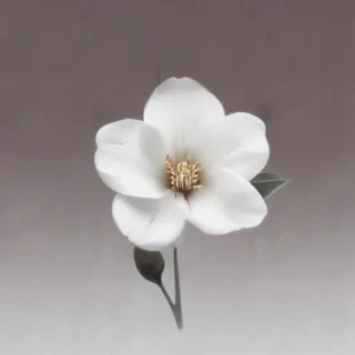 white flower png
