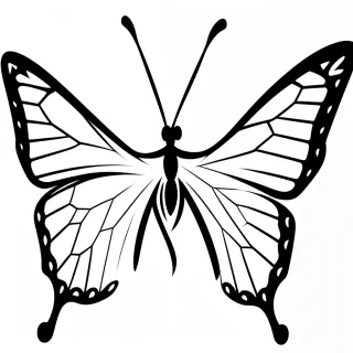 outline of butterfly