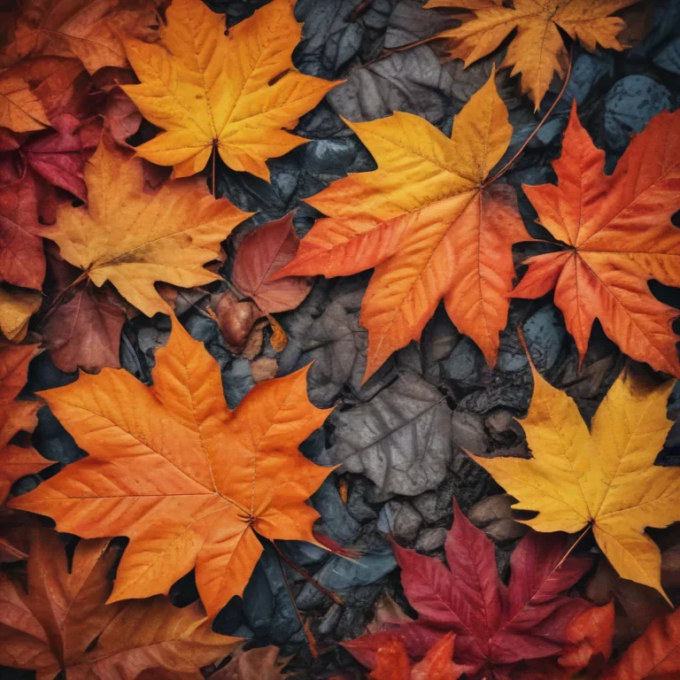 autumn leaves iphone wallpaper
