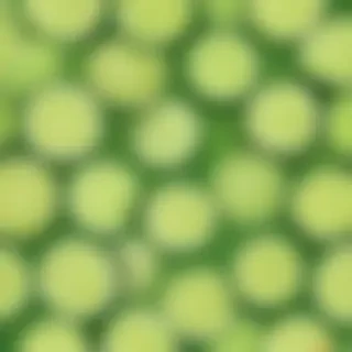 lime green background