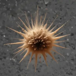 dust particles png