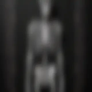 skeleton iphone wallpaper