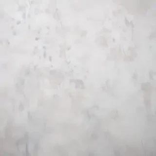 white gray background