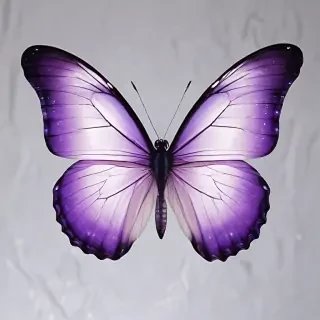 transparent purple butterfly