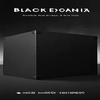 black box image