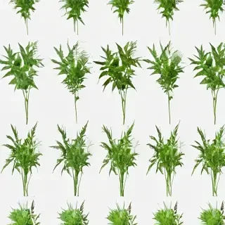 weeds png