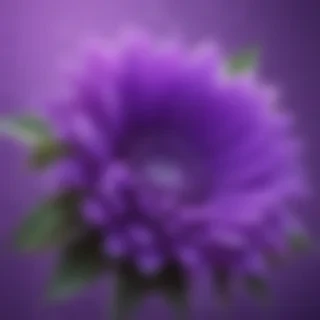 cute purple wallpapers