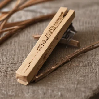 clothespin
