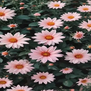 cute aesthetic wallpapers flowers