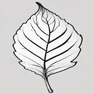 clipart of leaf black and white