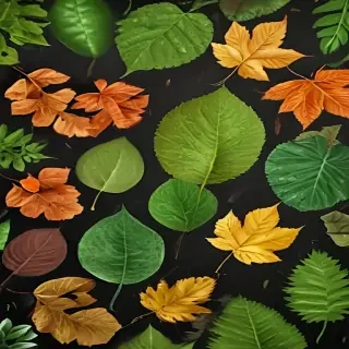 leaf backgrounds