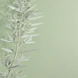 light sage green background