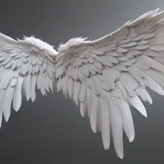 angel wings transparent background