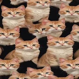 cat backrounds