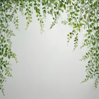 white and green background