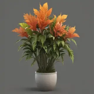 plant png clipart