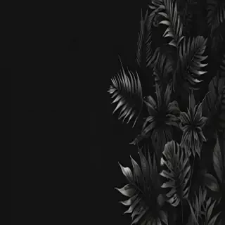 aesthetic wallpapers iphone black