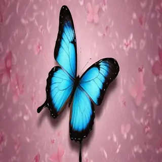 butterfly wallpaper for phone