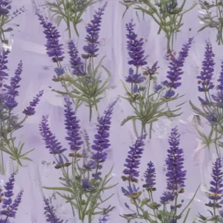lavender wallpaper