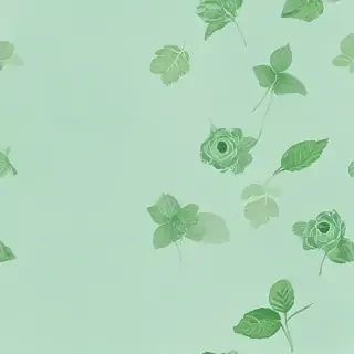 mint green background