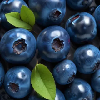 blueberry png