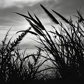 grass silhouette