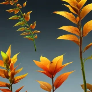 plant png clipart
