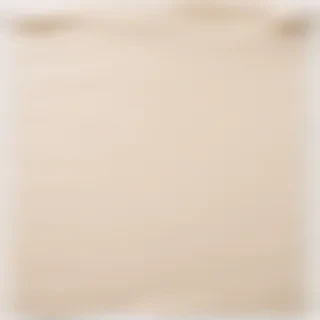 transparent ripped paper png