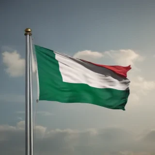 nigeria flag png