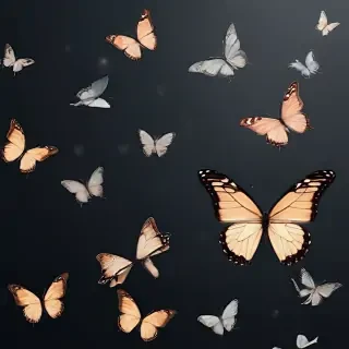 butterfly background transparent