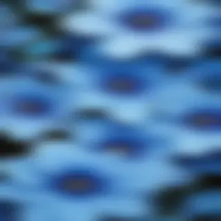 background blue flower wallpaper