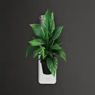 plant phone wallpaper