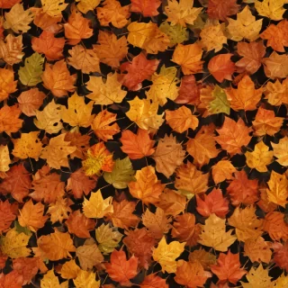 png fall leaves