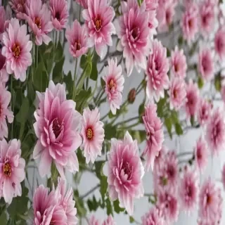 aesthetic flower background
