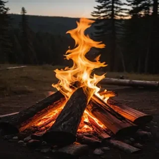 camp fire png