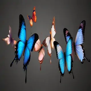 butterflies transparent background