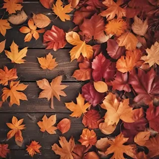 fall background iphone
