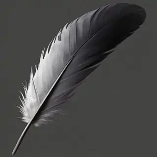 feather png