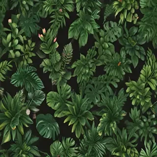 plants no background