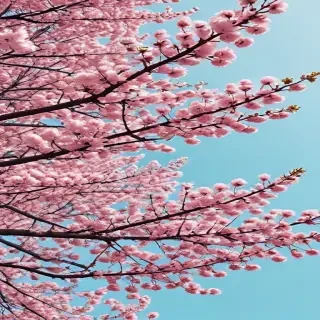 spring desktop wallpaper aesthetic