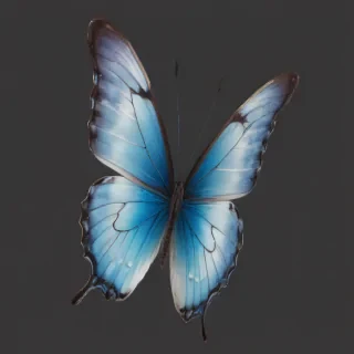 transparent butterfly png