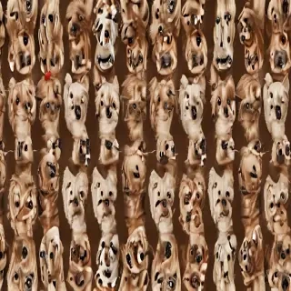 dogs wallpaper
