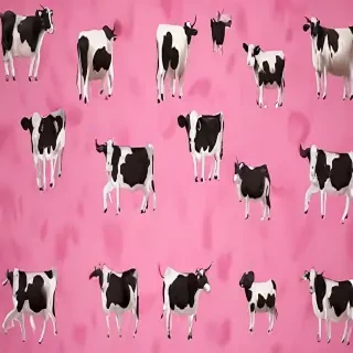 pink cow print wallpaper