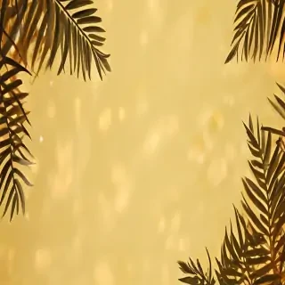 aesthetic yellow bg