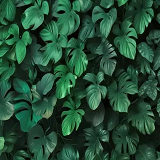 aesthetic background green