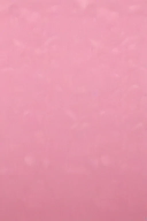 plain pink wallpaper